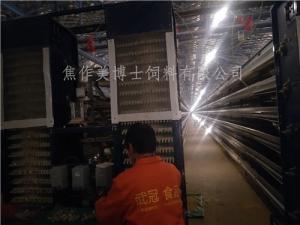 全自動(dòng)鵪鶉養(yǎng)殖200萬(wàn)只規(guī)模使用美博士鵪鶉飼料